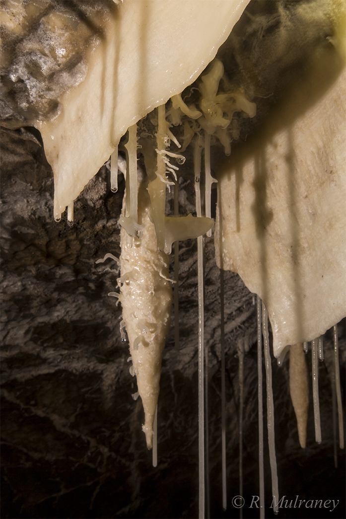 shannon cave boats caving caves of ireland cave photography
